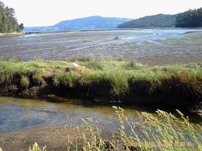 SALINAS DE ULLÓ EN VILABOA (PONTEVEDRA)