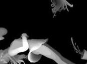 Memory Tapes Wait Dark (2011)