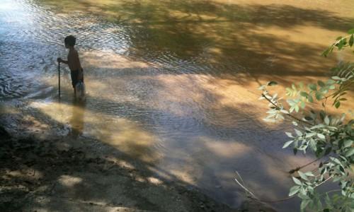 Taller Proyecto paisajístico