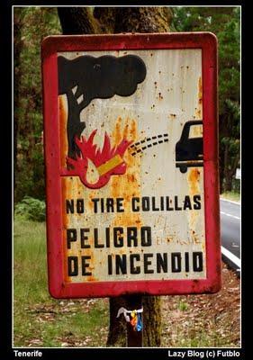 Cómo hacer una barbacoa perfecta