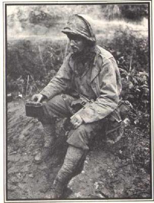 La achicoria de los días