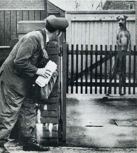 Fotografía humorística retro. Life.