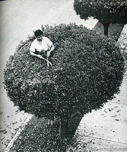 Fotografía humorística retro. Life.