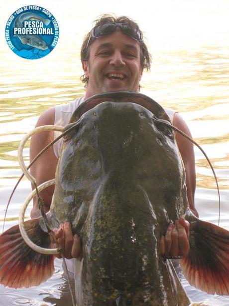 catfish-3 PESCA AL PELLET