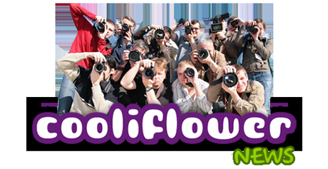 cooliflower_news_web2 Cooliflower News (Fox Fibre is coming!)