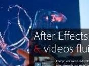 Adobe After Effects Professional