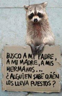 Razones para NO lucir prendas de piel