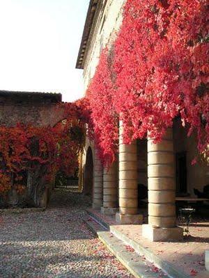 PATIOS RUSTICOS MEDITERRANEOS