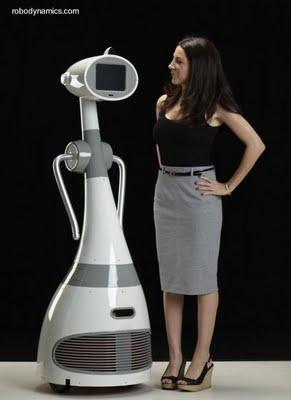 Robots domésticos Robots domésticos