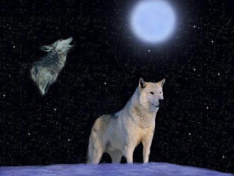 Las señales a seguir