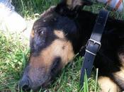 Karens, caso estremecedor. ayudas acogida!! (cordoba)