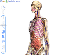 Google Lanza Navegador Corporal Interactivo