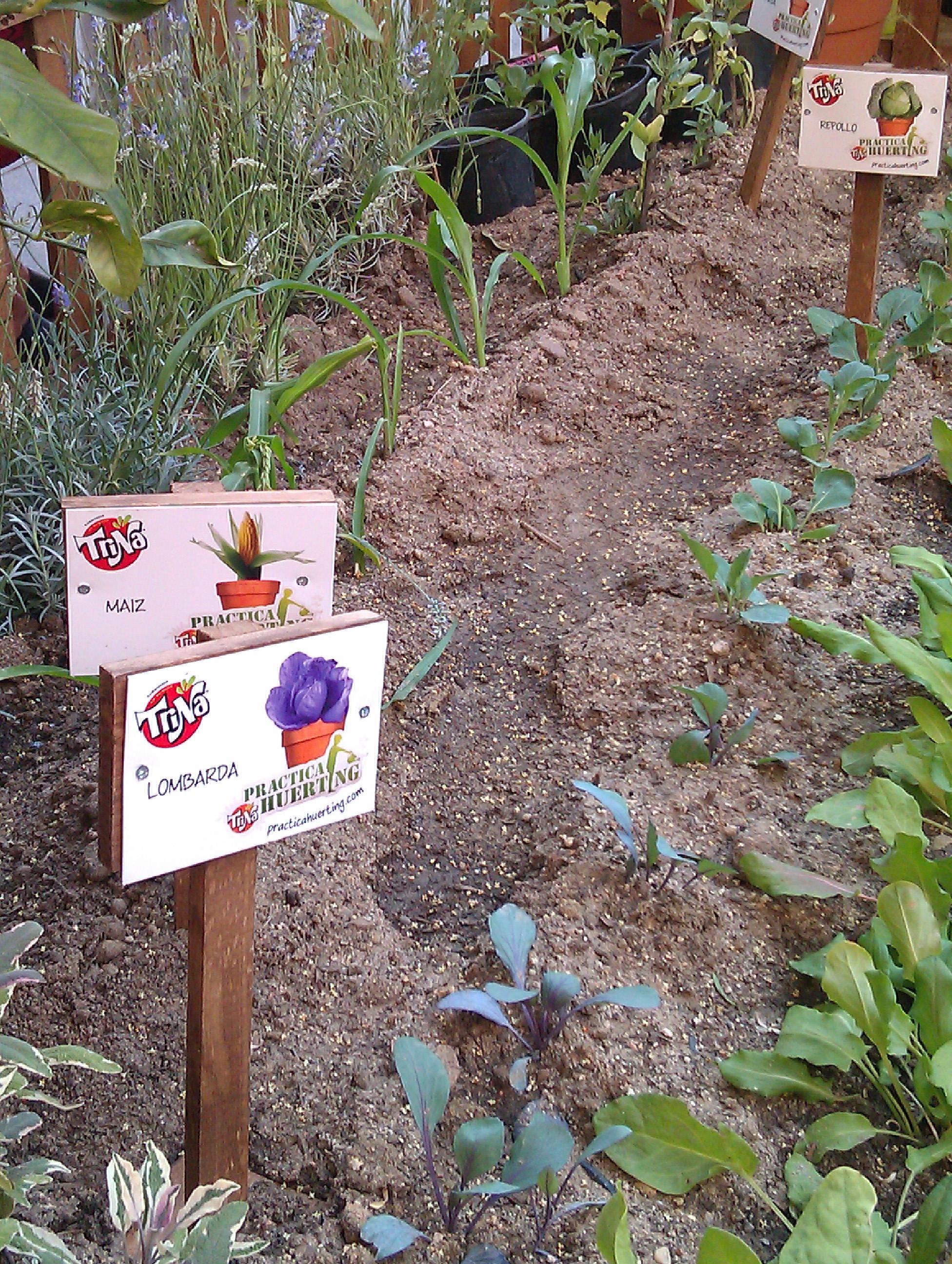 huerto urbano en callao