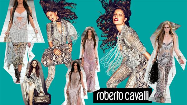 Cavalli, dos ideas similares