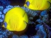 pasos para lograr relajación