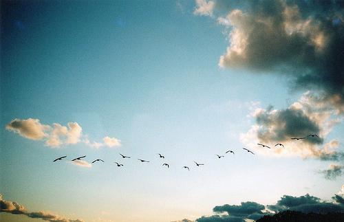 Tumblr_lnalvgmiu41qcsic0o1_500_large