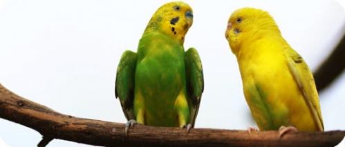 Lo último de la escritura y lo primero de la corrección