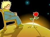 Eres responsable rosa