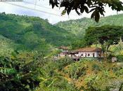 Paisaje Norte Valle también Patrimonio Humanidad