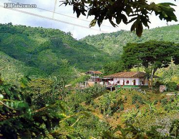 Paisaje del Norte del Valle también es Patrimonio de la Humanidad Paisaje del Norte del Valle también es Patrimonio de la Humanidad
