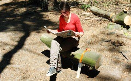 De la terraza al bosque