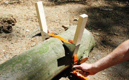 De la terraza al bosque