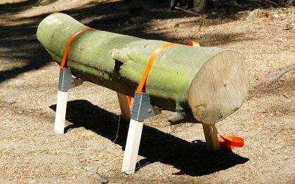 De la terraza al bosque