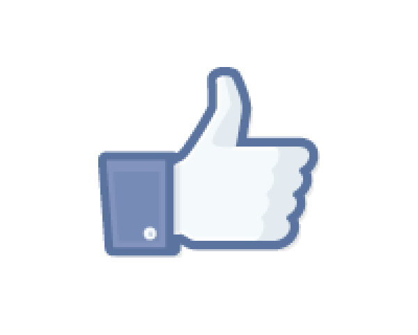 page fan facebook facteurs cles de succes Queremos fans en Facebook??