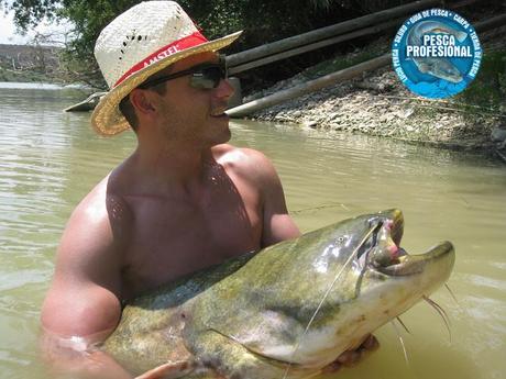 PESCA SILURO EBRO – MEQUINENZA