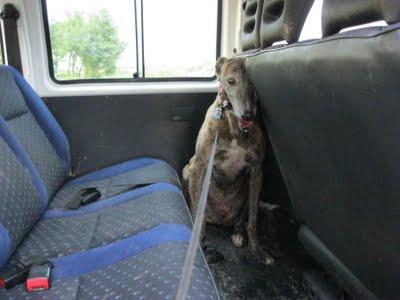 Sin palabras, MIEDO....!!!