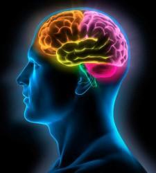 Matemáticas y Deterioro Cognitivo (nuevas pistas)