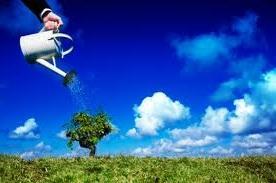 regar Intervenir o dejar hacer?