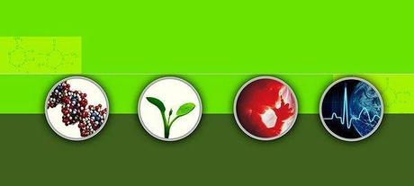 Un referente importante