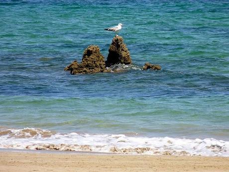Los turbantes son para la playa