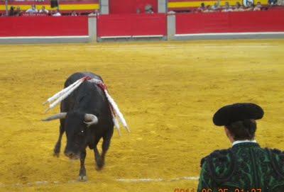 La plaga biblíca definitiva (el toro que cabe en la muleta)