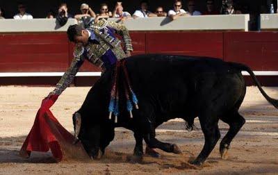 La plaga biblíca definitiva (el toro que cabe en la muleta)