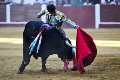 La plaga biblíca definitiva (el toro que cabe en la muleta)