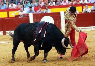 La plaga biblíca definitiva (el toro que cabe en la muleta)