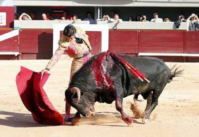 La plaga biblíca definitiva (el toro que cabe en la muleta)