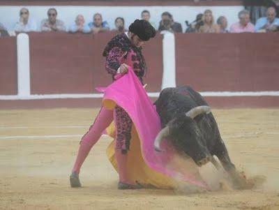 La plaga biblíca definitiva (el toro que cabe en la muleta)