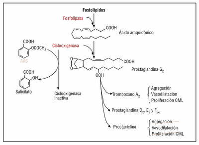 tabla mecanismo de actuación ácido acetilsalicílico