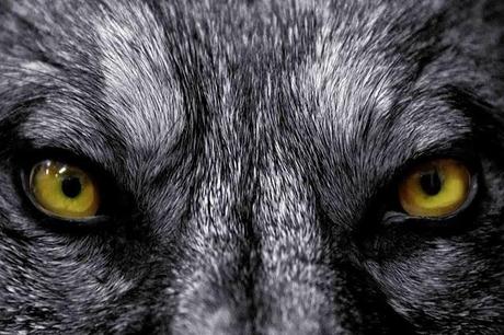 La vida misma /Conceptos I La vida misma /Conceptos I