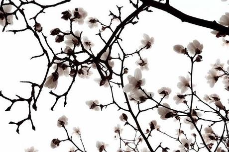 La vida misma /Conceptos I La vida misma /Conceptos I