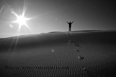 La vida misma /Conceptos I La vida misma /Conceptos I