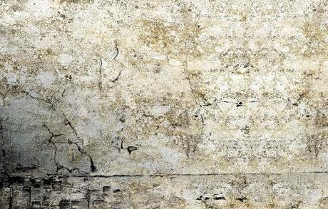 La vida misma /Conceptos I La vida misma /Conceptos I