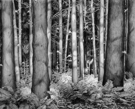 La vida misma /Conceptos I La vida misma /Conceptos I