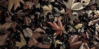 La vida misma /Conceptos I La vida misma /Conceptos I