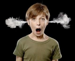 LA ACELERACIÓN DE LA CRIANZA!!!!!!!!!!!