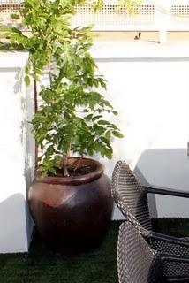 Antes y después: jardín en un ático