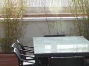 Antes después: jardín ático